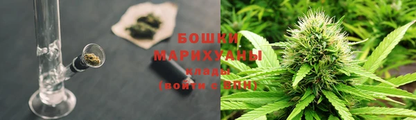стафф Верхний Тагил