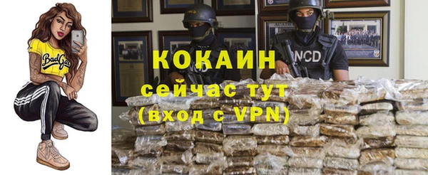 стафф Верхний Тагил